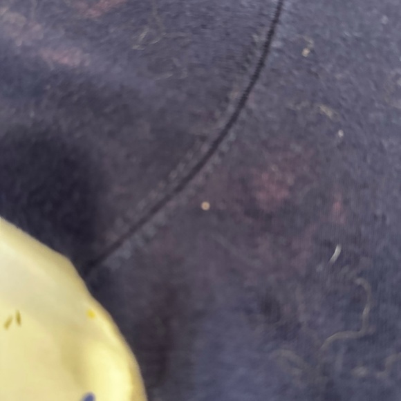 Unisex Sz: Large University of Michigan Wolverine’s Embroidered Logo hoodie. - Picture 9 of 9